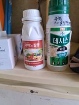 팜모닝 고추·영농일지 게시글 이미지