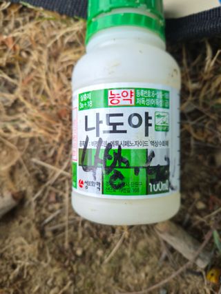 김석원님의 참깨 · 영농일지 작성글 사진
