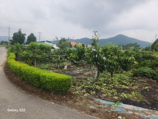 안종범님의 기타작물 · 영농일지 작성글 사진