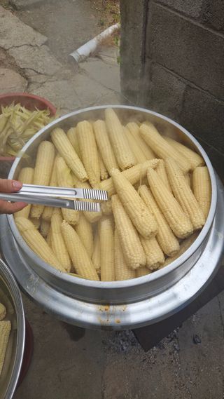  조약돌님의 옥수수 · 영농일지 작성글 사진