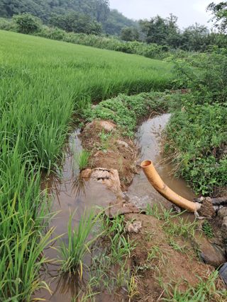 이복길님의 벼 · 영농일지 작성글 사진