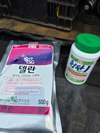 쿠리농원님의 귤 · 영농일지 작성글 사진