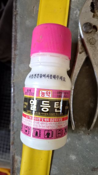 김석원님의 참깨 · 영농일지 작성글 사진