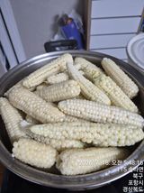 이말분님의 작성글 사진
