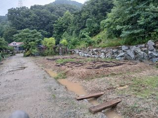 유미현님의 들깨 · 영농일지 작성글 사진