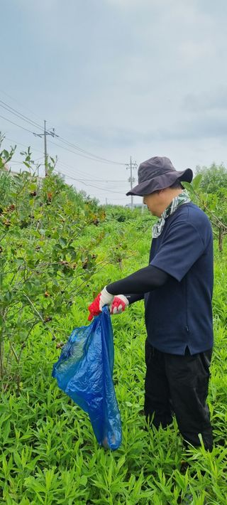 홍성화님의 기타작물 · 영농일지 작성글 사진