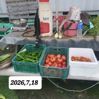 시민농장님의 기타작물 · 영농일지 작성글 사진