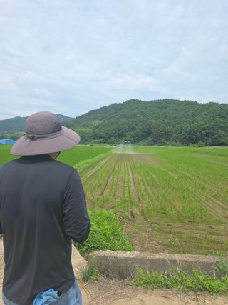 통큰열매님의 벼 · 영농일지 작성글 사진
