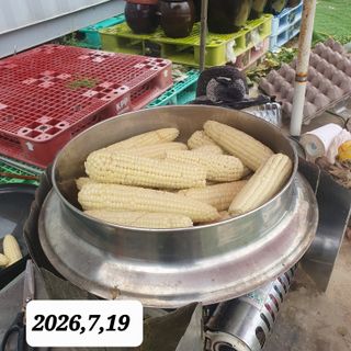 시민농장님의 기타작물 · 영농일지 작성글 사진