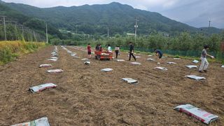 축복의땅 에덴동산님의 기타작물 · 영농일지 작성글 사진