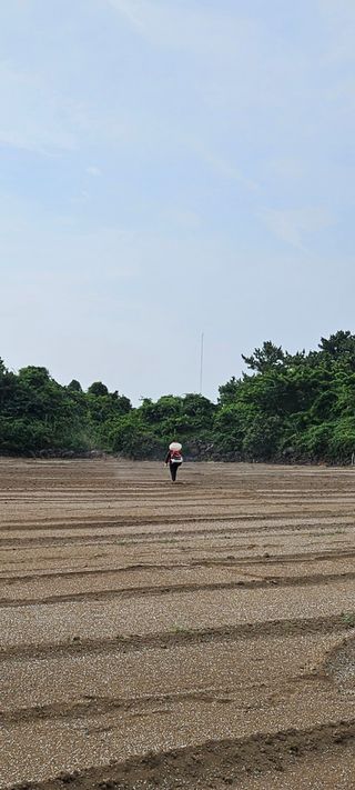 한경훈님의 기타작물 · 영농일지 작성글 사진