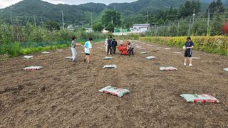 축복의땅 에덴동산님의 기타작물 · 영농일지 작성글 사진