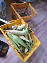백영호님의 작성글 사진