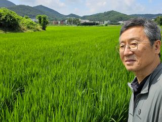 넥스젠님의 벼 · 영농일지 작성글 사진