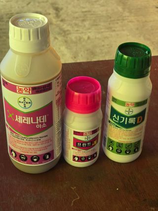 박상우님의 기타작물 · 영농일지 작성글 사진