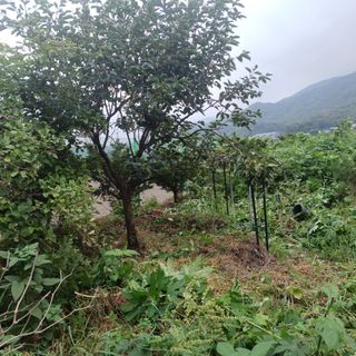 正覺님의 작성글 사진