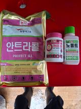 팜모닝 사과·영농일지 게시글 이미지