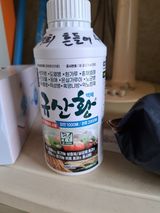 팜모닝 고추·영농일지 게시글 이미지
