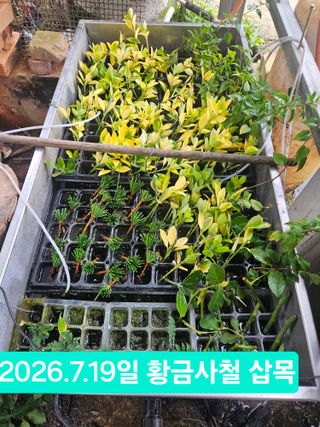 멧돼지님의 기타작물 · 영농일지 작성글 사진
