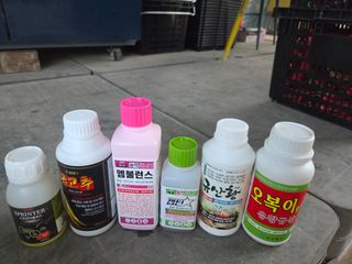 장두학님의 기타작물 · 영농일지 작성글 사진