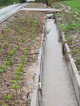 백현호님의 작성글 사진