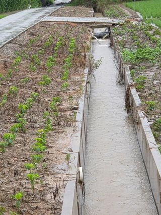백현호님의 기타작물 · 영농일지 작성글 사진