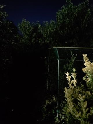 백운농원 님의 작성글 사진