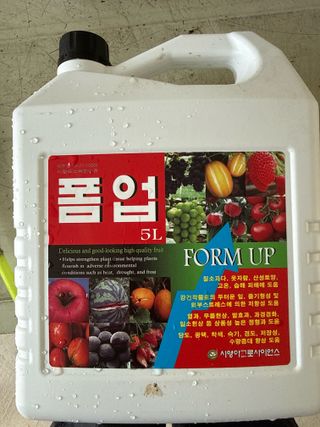 이선민(호뜨락)님의 포도 · 영농일지 작성글 사진