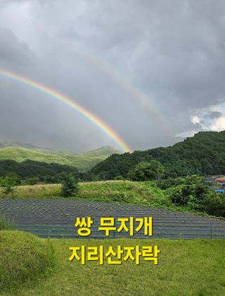 축복의땅 에덴동산님의 기타작물 · 영농일지 작성글 사진