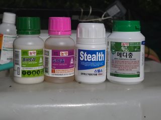해근님의 고추 · 영농일지 작성글 사진