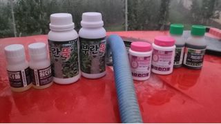 김영길 (비봉농장)님의 사과 · 영농일지 작성글 사진