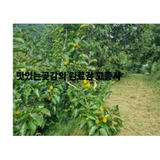 팜모닝 기타작물·영농일지 게시글 이미지