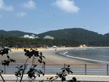 팜모닝 토마토·영농일지 게시글 이미지