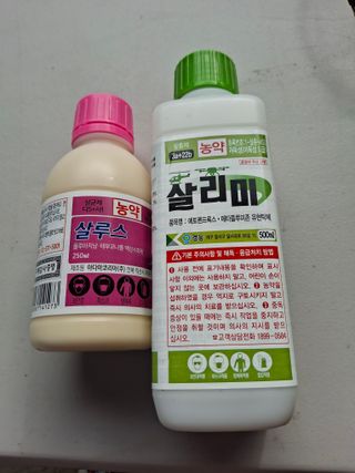 흑포님의 사과 · 영농일지 작성글 사진