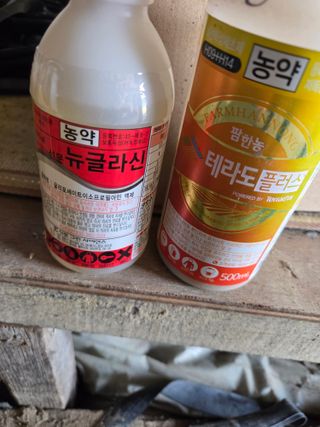 정영석님의 참깨 · 영농일지 작성글 사진