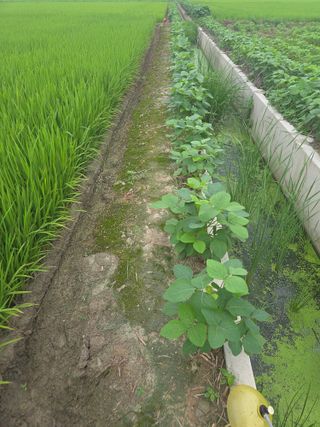 파인cool님의 작성글 사진