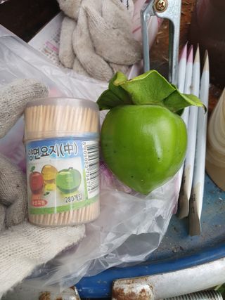 서선옥님의 감 · 영농일지 작성글 사진