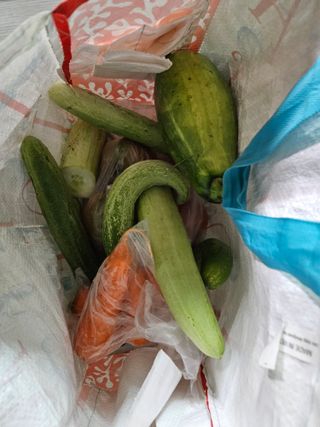 박홍권님의 고추 · 영농일지 작성글 사진