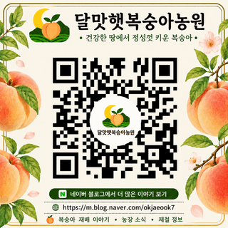 달맛햇복숭아농원님의 복숭아 · 영농일지 작성글 사진