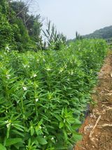최병우님의 작성글 사진