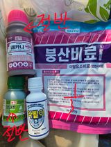 팜모닝 기타작물·영농일지 게시글 이미지