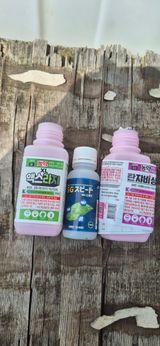 정진필님의 작성글 사진