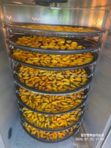 달맛햇복숭아농원님의 작성글 사진