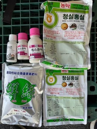 님의 포도 · 영농일지 작성글 사진