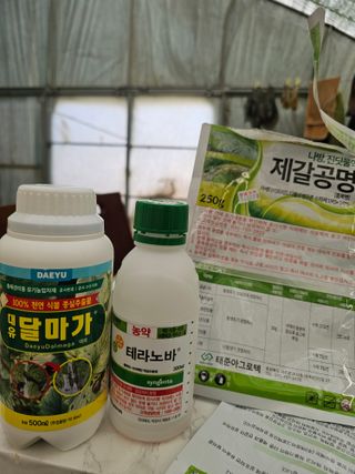 김상엽님의 딸기 · 영농일지 작성글 사진