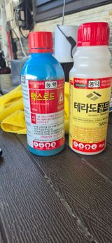 팜모닝 기타작물·영농일지 게시글 이미지