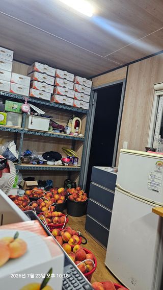 장정규님의 복숭아 · 영농일지 작성글 사진