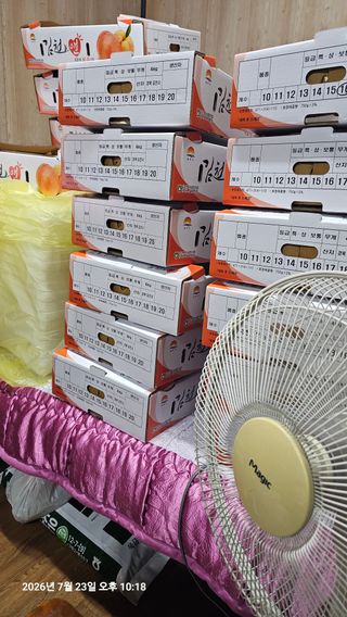 장정규님의 복숭아 · 영농일지 작성글 사진