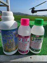 팜모닝 기타작물·영농일지 게시글 이미지