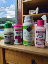 팜모닝 포도·영농일지 게시글 이미지